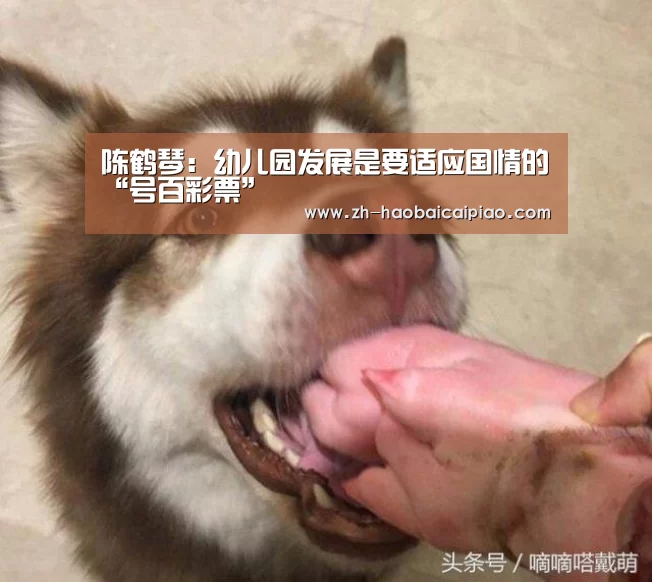 号百彩票