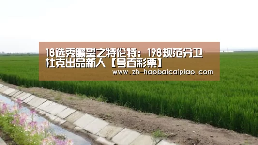 18选秀瞻望之特伦特:198规范分卫 杜克出品新人【号百彩票】(图2) 号百彩票