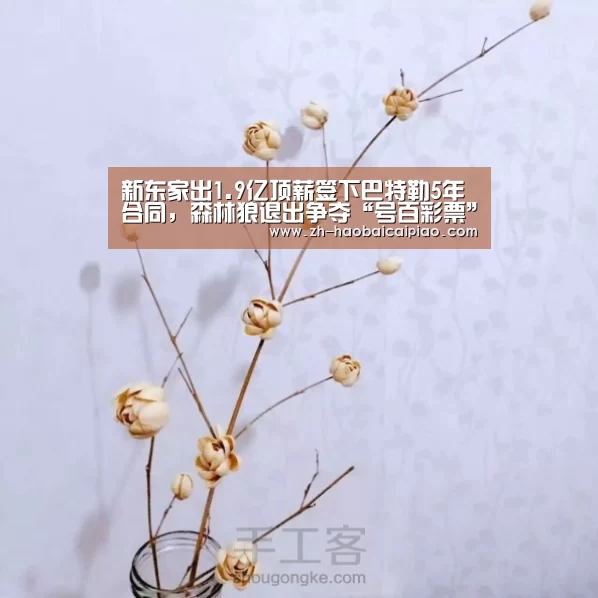 新东家出1.9亿顶薪签下巴特勒5年合同,森林狼退出争夺“号百彩票”(图3) 号百彩票