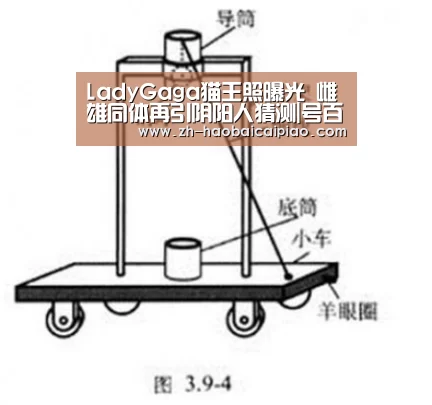 LadyGaga猫王照曝光 雌雄同体再引阴阳人猜测|号百彩票(图1) 号百彩票